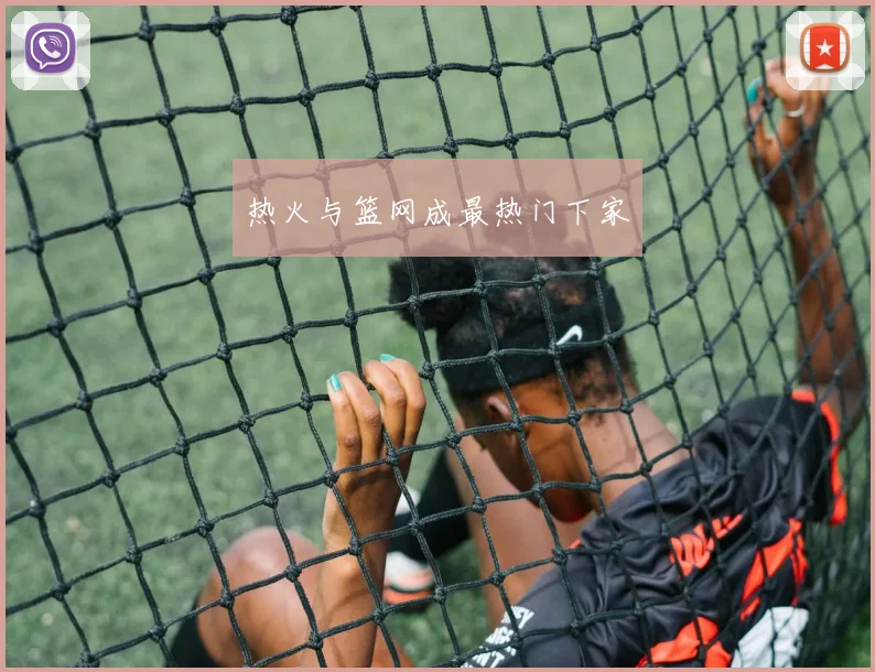 热火与篮网成最热门下家