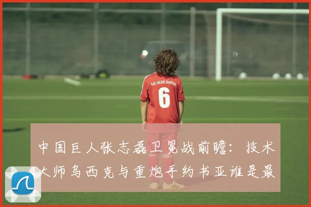 中国巨人张志磊卫冕战前瞻:技术大师乌西克与重炮手约书亚谁是最佳挑战者